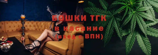 молекула духа Алексеевка
