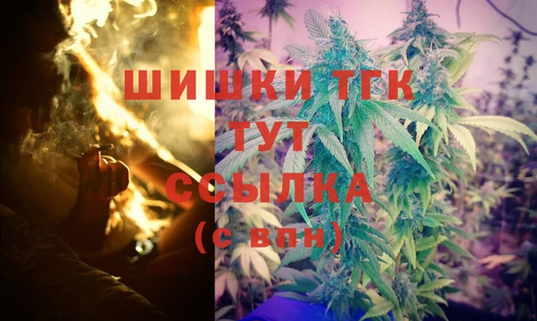 молекула духа Алексеевка