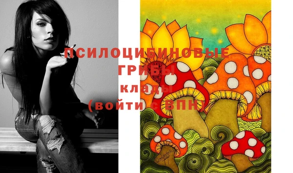ешки Алзамай