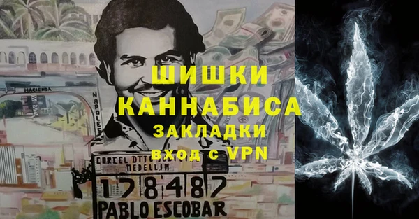 молекула духа Алексеевка