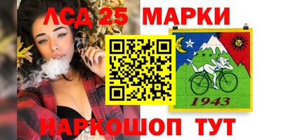 шишки Кимры