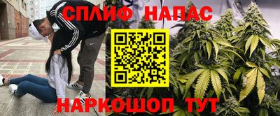 шишки Кимры