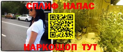 шишки Кимры