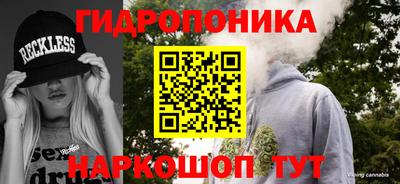 шишки Кимры