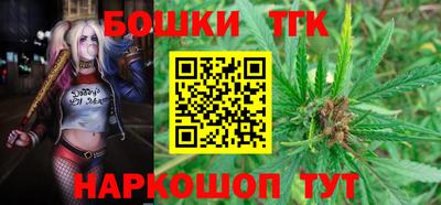 шишки Кимры