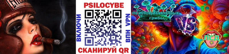 Псилоцибиновые грибы Cubensis  дарнет шоп  Ленинск-Кузнецкий 