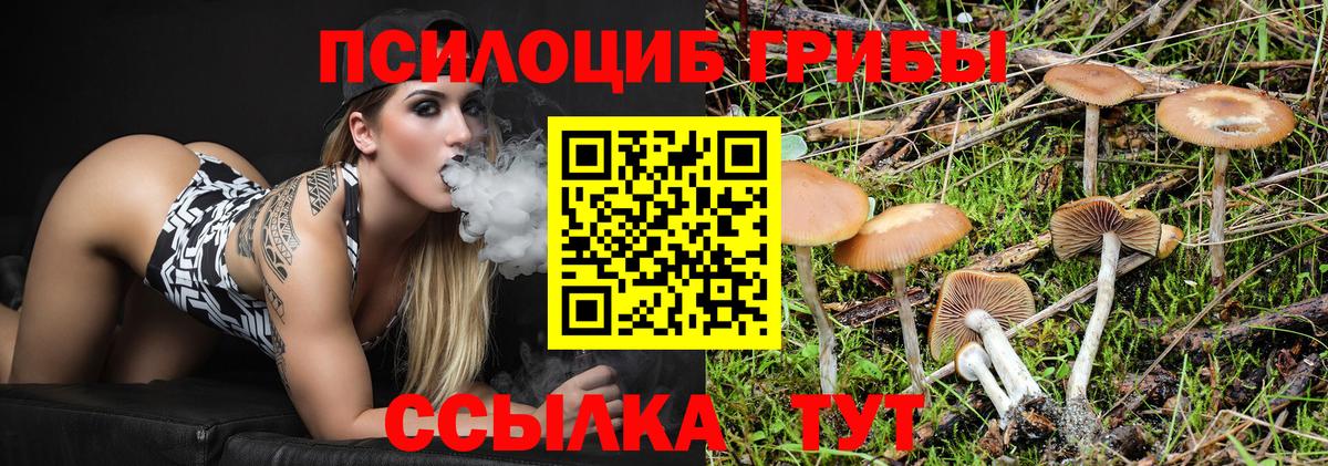 Ленинск-Кузнецкий  Галлюциногенные грибы ЛСД  Галлюциногенные грибы мухоморы  Вход с VPN 